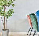 Rośliny do domu – na jakie warto zwrócić uwagę?
